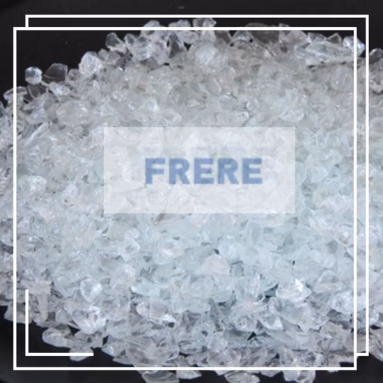 Les haricots rouges de la machine à gravité spécifique éliminent les grains moisis Les grains mangés par les mites ne sont pas pleins de grains